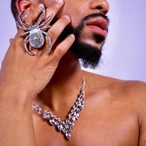 Meet your Posher, Prince